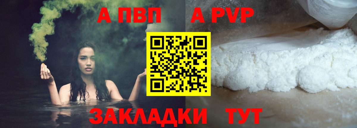 A-PVP СК Великий Новгород