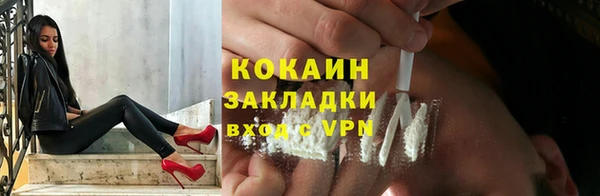 индика Великий Новгород