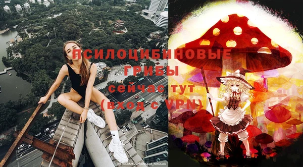 синтетический гашиш Медвежьегорск