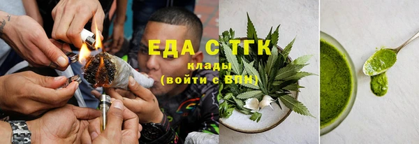 индика Великий Новгород