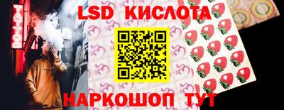 гидра Будённовск