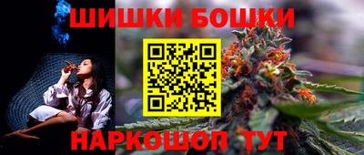 гидра Будённовск