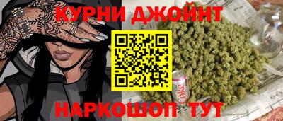 гидра Будённовск