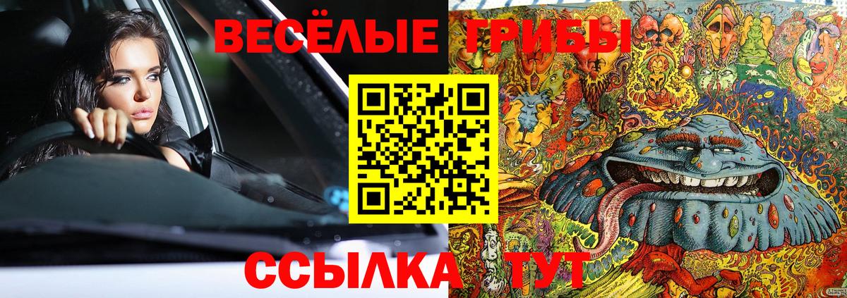Псилоцибиновые грибы GOLDEN TEACHER  Вход с VPN  Великий Новгород 