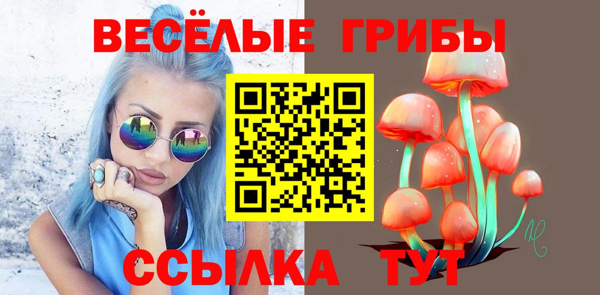 Галлюциногенные грибы MAGIC MUSHROOMS Великий Новгород