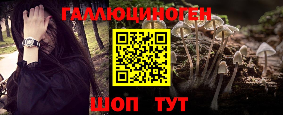 Галлюциногенные грибы ЛСД Великий Новгород