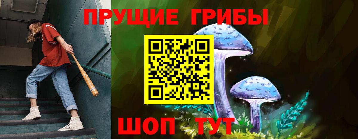 даркнет сайт  Великий Новгород  Галлюциногенные грибы MAGIC MUSHROOMS  Псилоцибиновые грибы Cubensis 