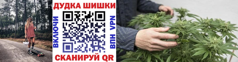 Шишки марихуана марихуана  Великий Новгород 